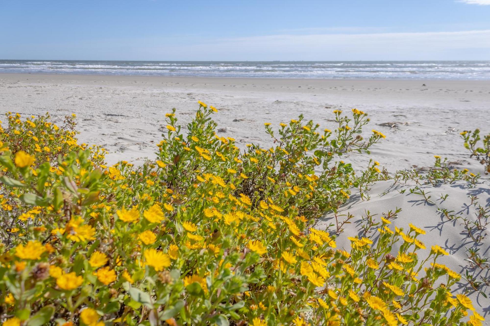 Islander East Galveston